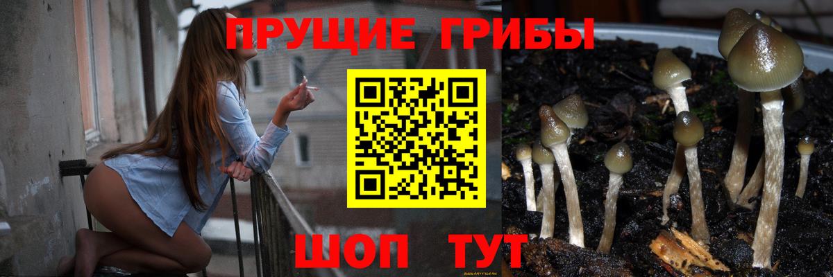 Красноармейск  Галлюциногенные грибы Magic Shrooms  Вход с VPN 
